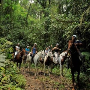 Horseback Riding Arenal
