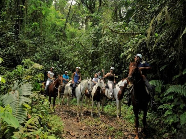 Horseback Riding Arenal